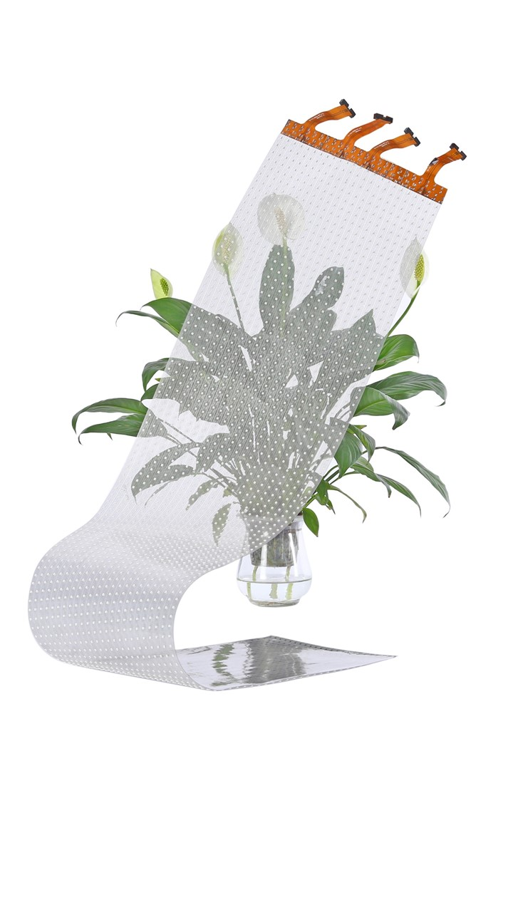LED Flexible Film Screen