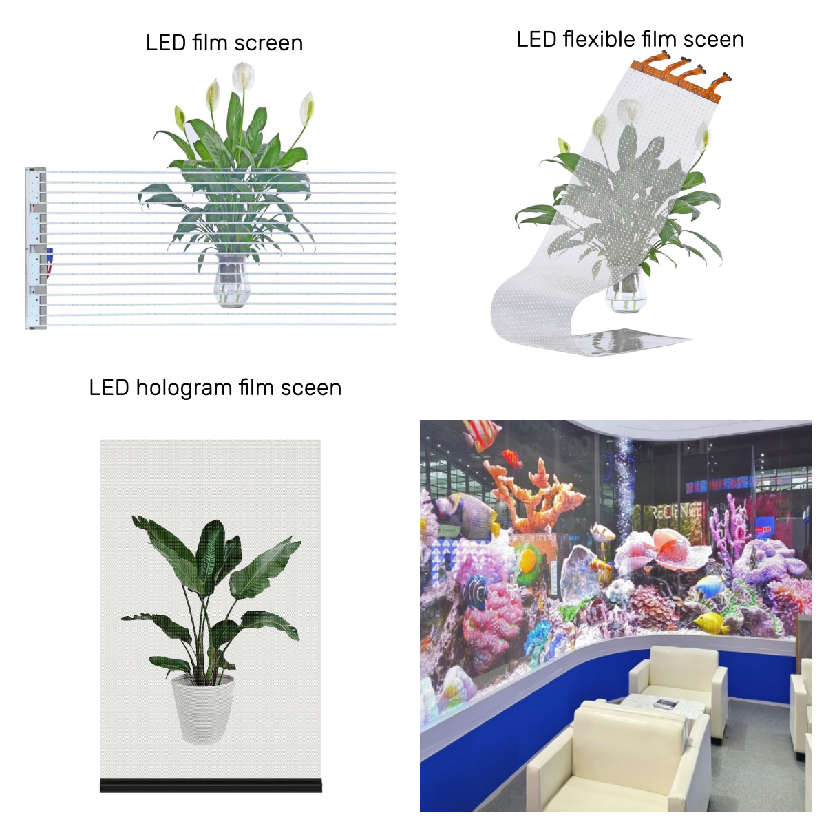 Creat an unforgettable Impression with SINGO LED film screen!