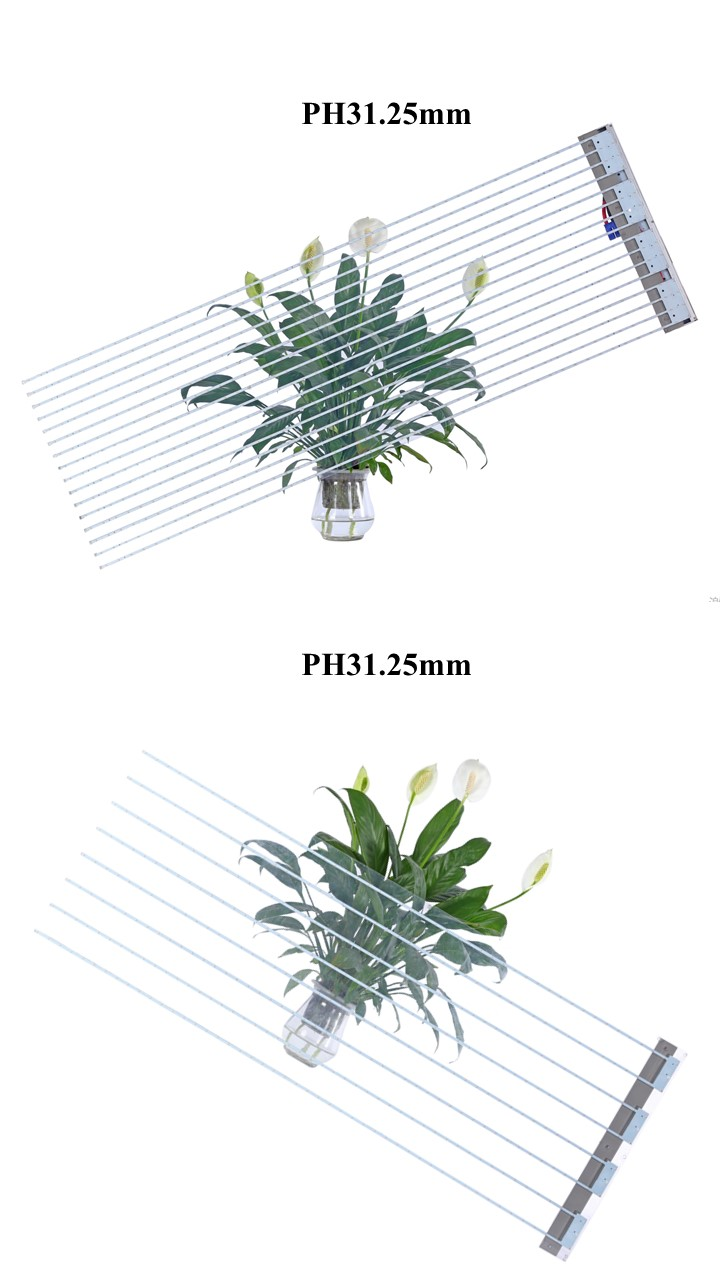 LED film screen PH31.25