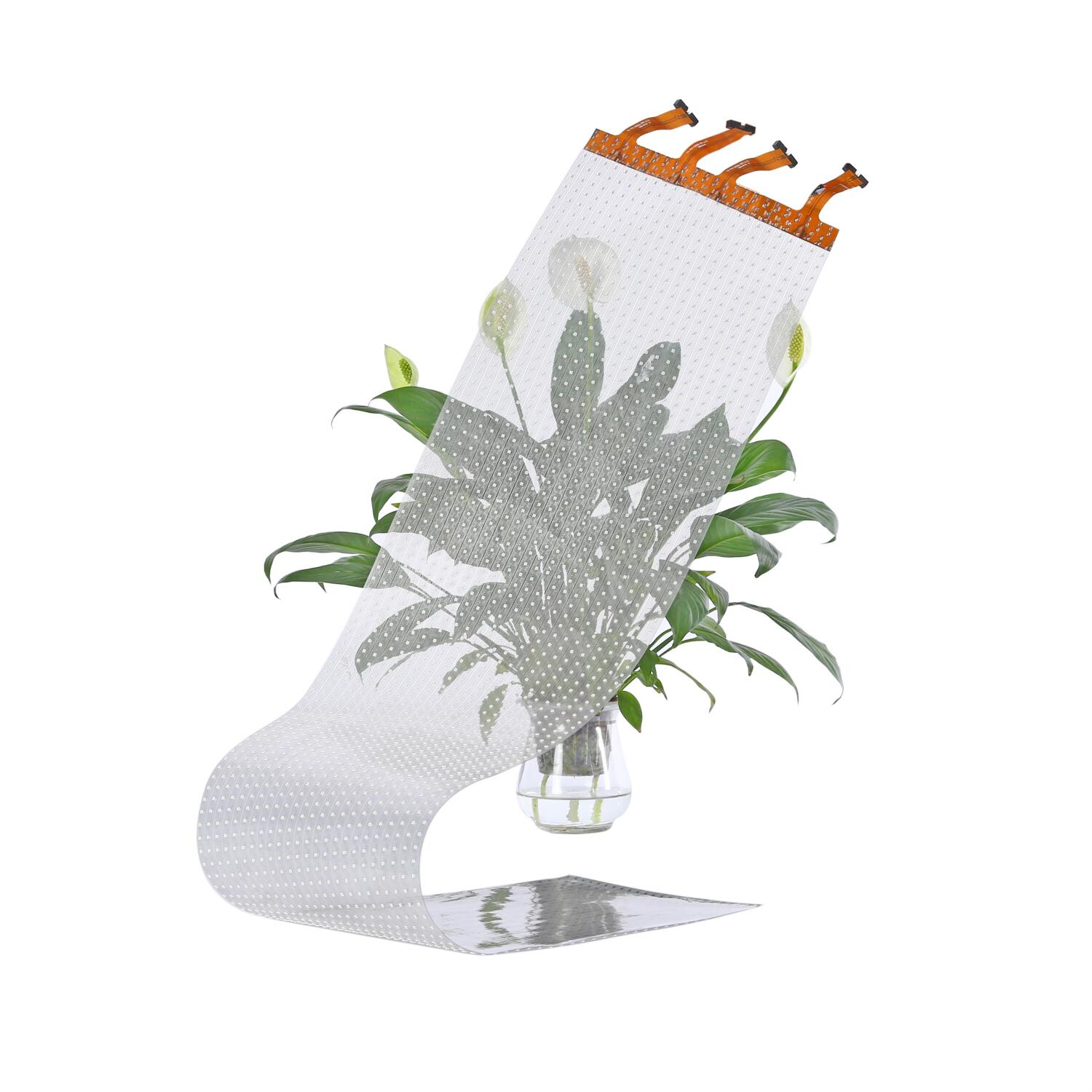 LED Flexible Film Screen