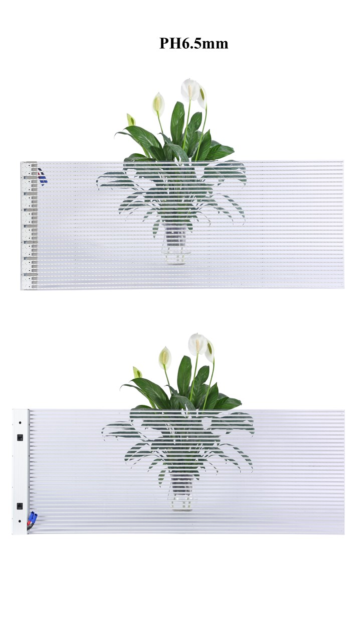 LED film screen PH6.5