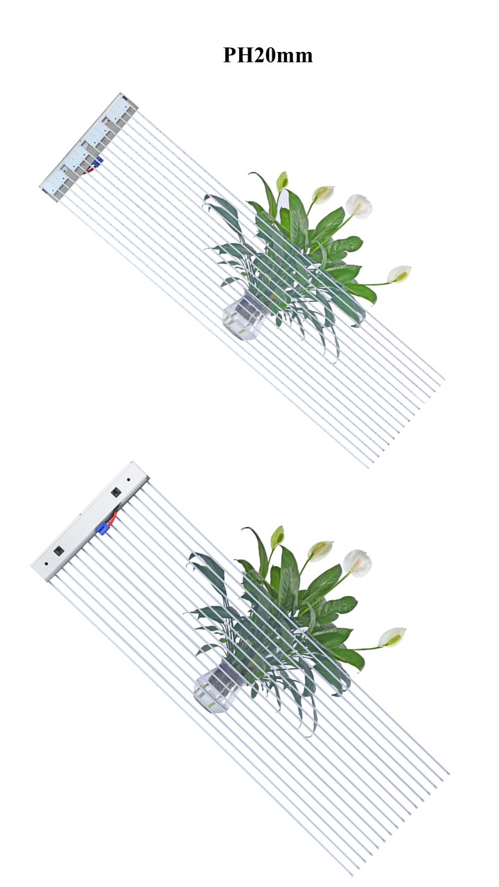 LED film screen PH20