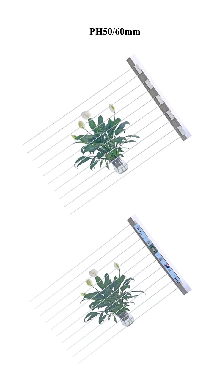 LED film screen PH50 60