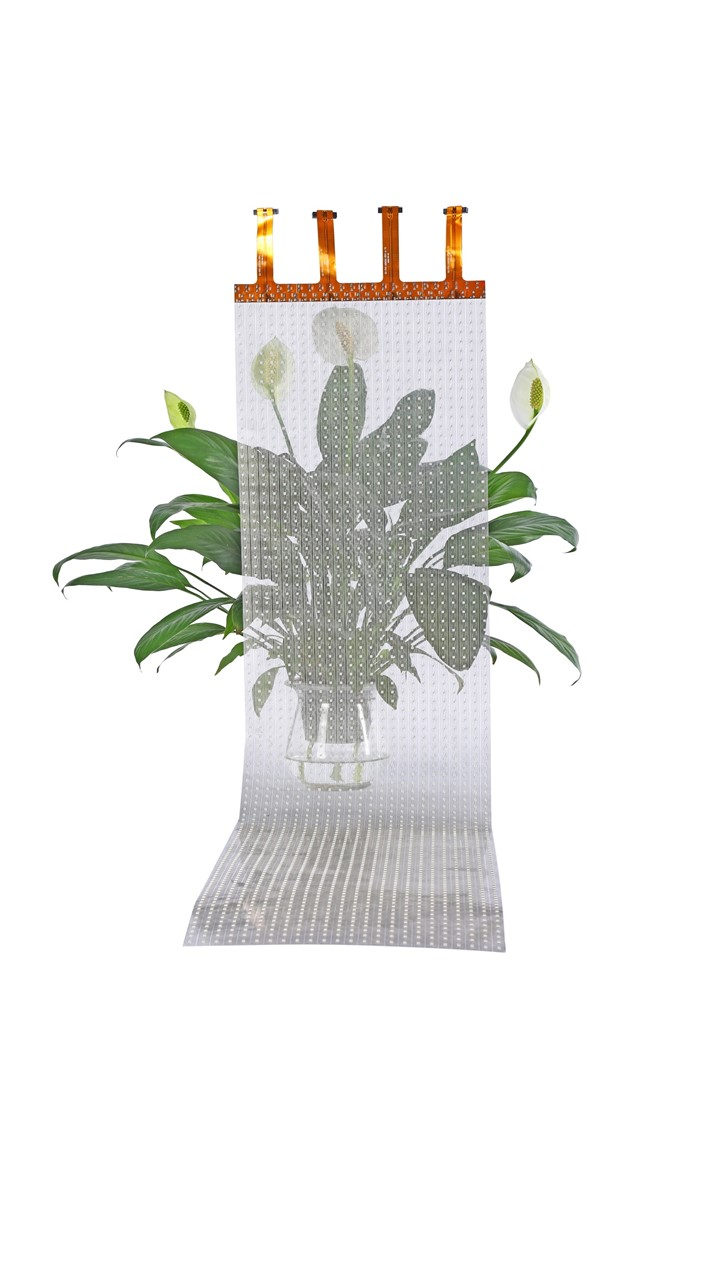 LED Flexible Film Screen