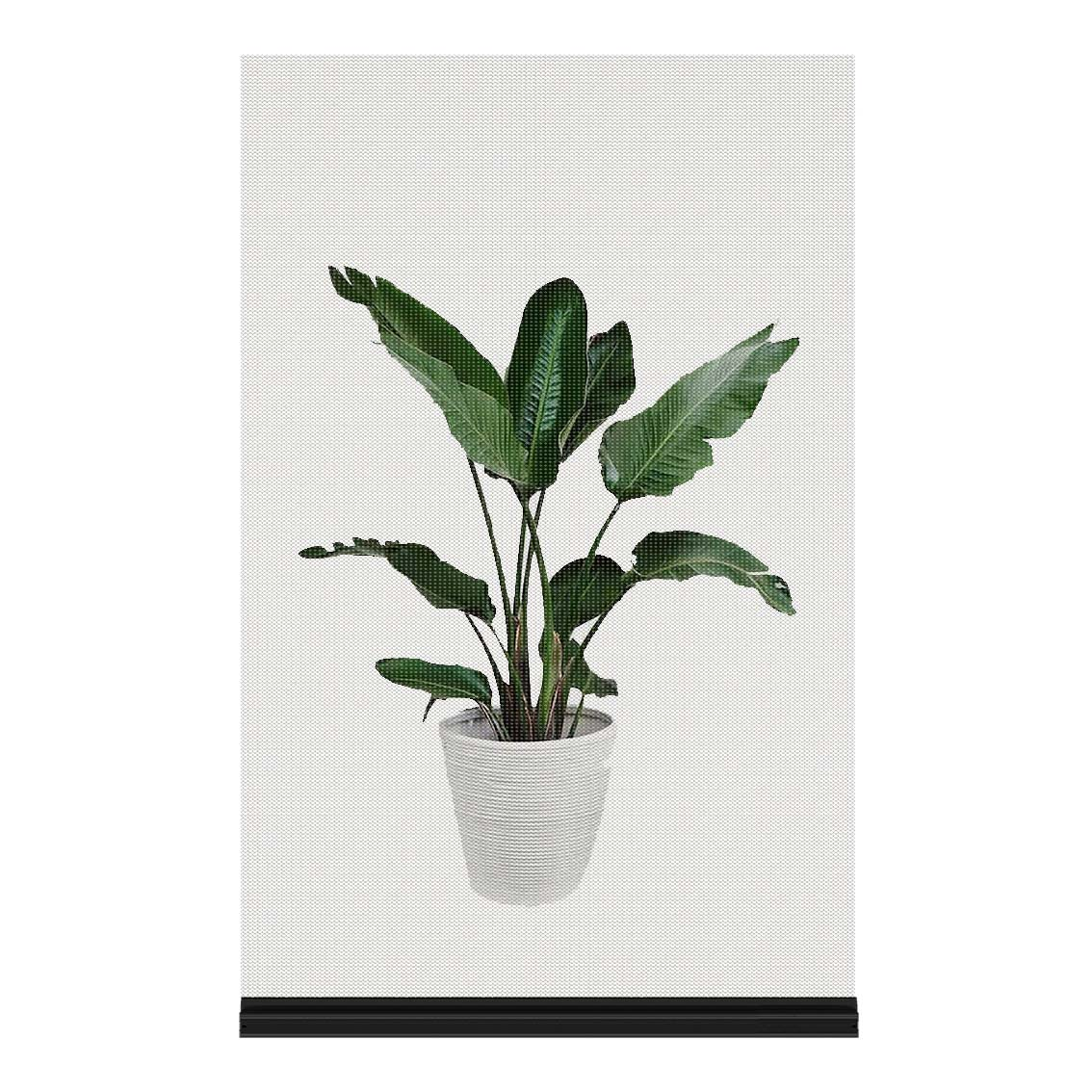 LED holographic film screen