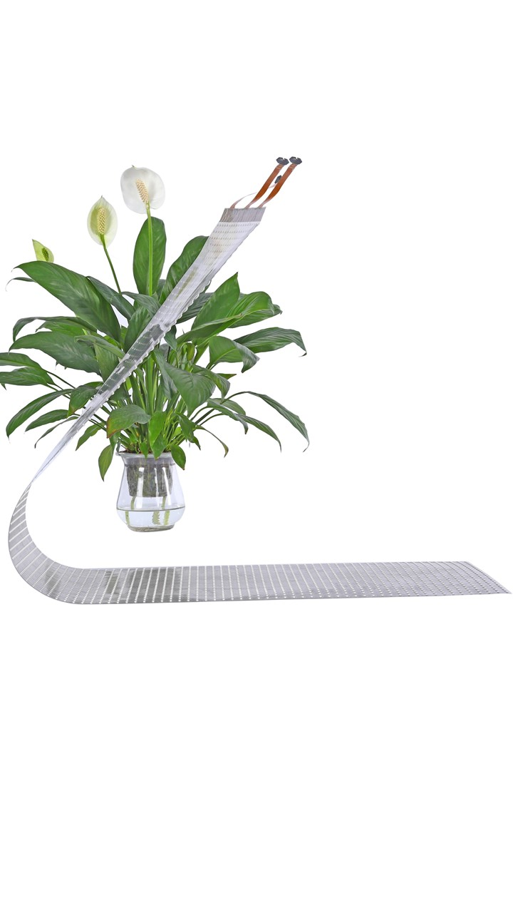 LED Flexible Film Screen